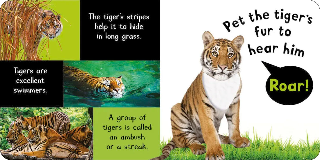 Noisy Animal 3-Book Boxed Set: My First Touch and Feel Sound Books US - Multiple-component retail product, boxed