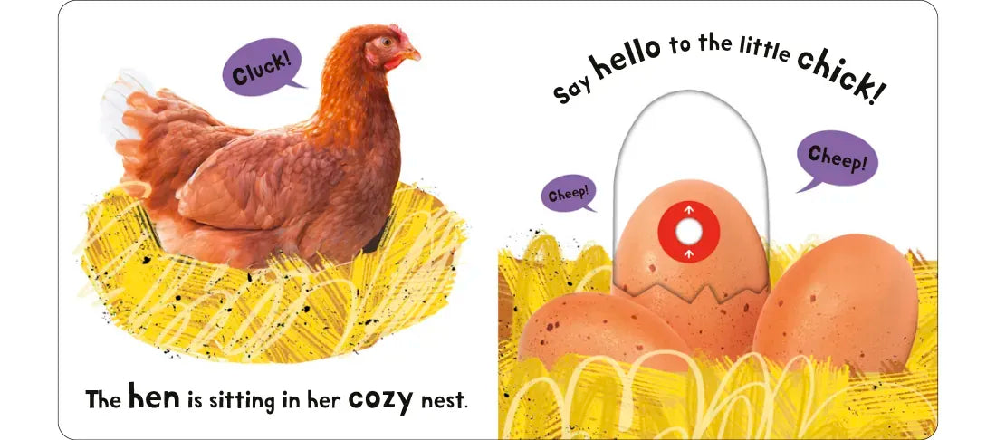 Farm: My First Touch and Explore US - Board book