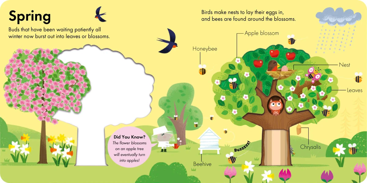How It Works: Tree US - Board book