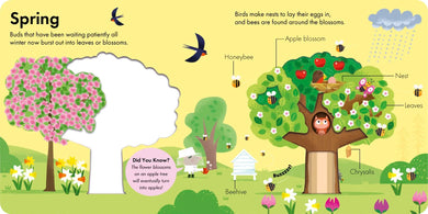 How It Works: Tree US - Board book