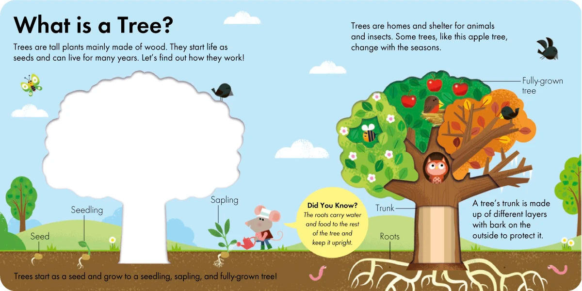 How It Works: Tree US - Board book