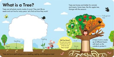 How It Works: Tree US - Board book