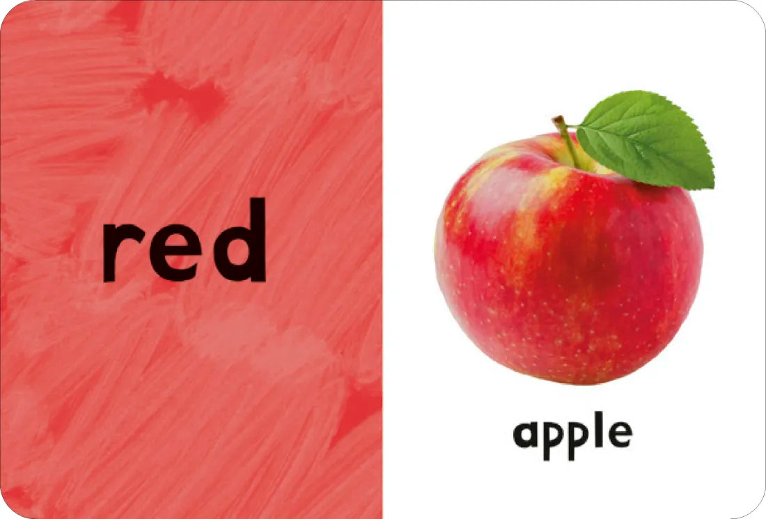 My First Learning Box Set: Little Library US - Multiple-component retail product, boxed