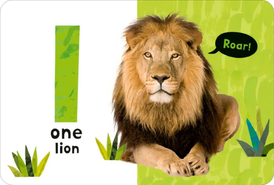 My First Learning Box Set: Little Library US - Multiple-component retail product, boxed