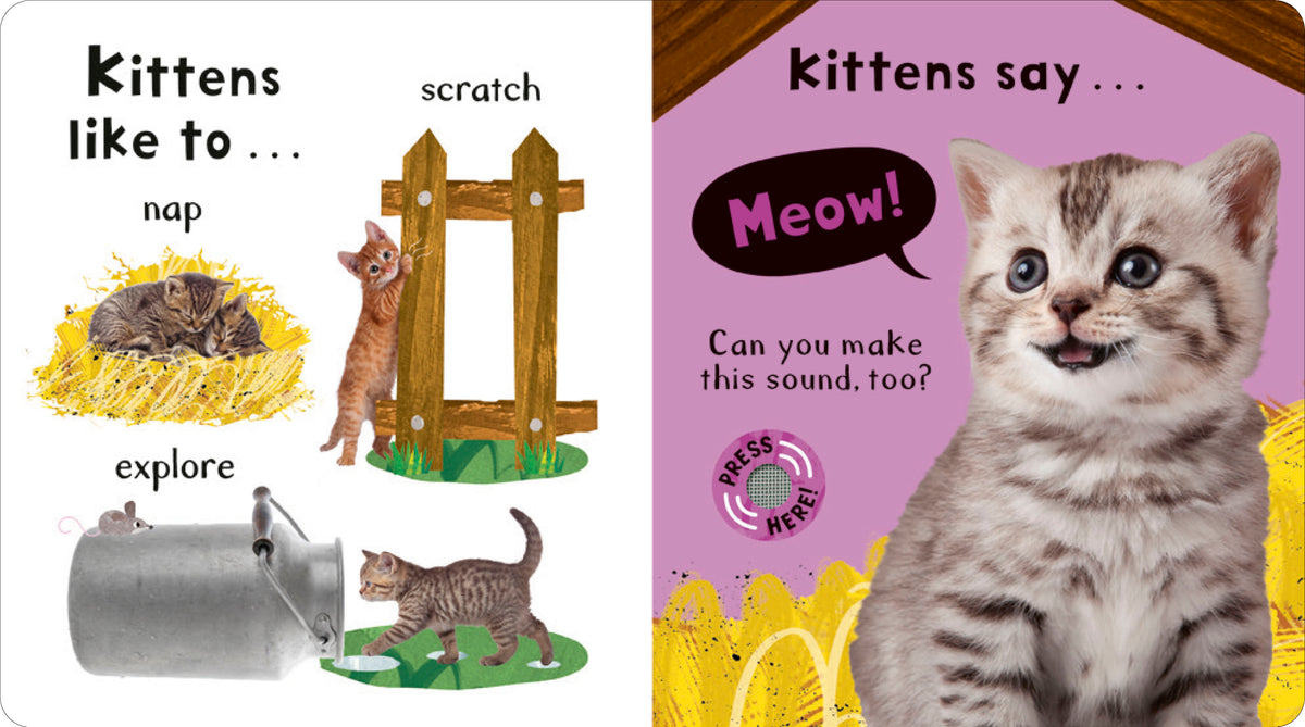 Baby Animals: My First Listen and Learn interior 2 (ISBN 9781664352575)
