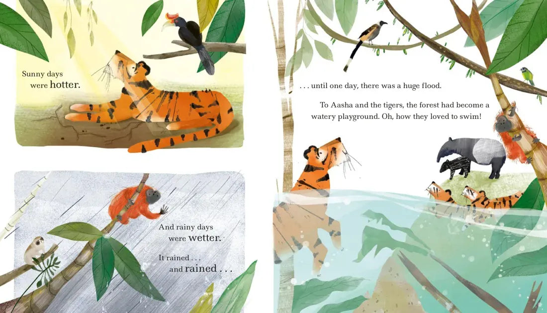 The Last Tiger US - Hardback