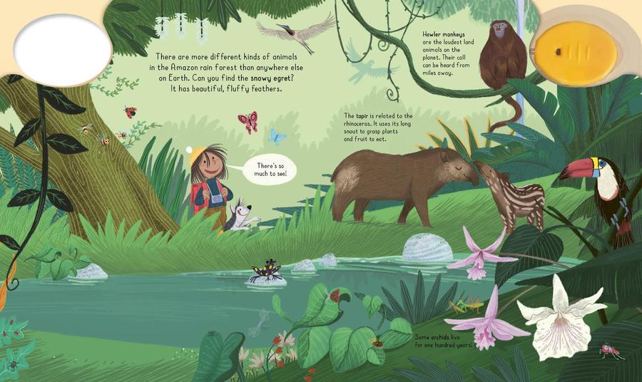 Magic Flashlight: Explore the Rain Forest US - Hardback