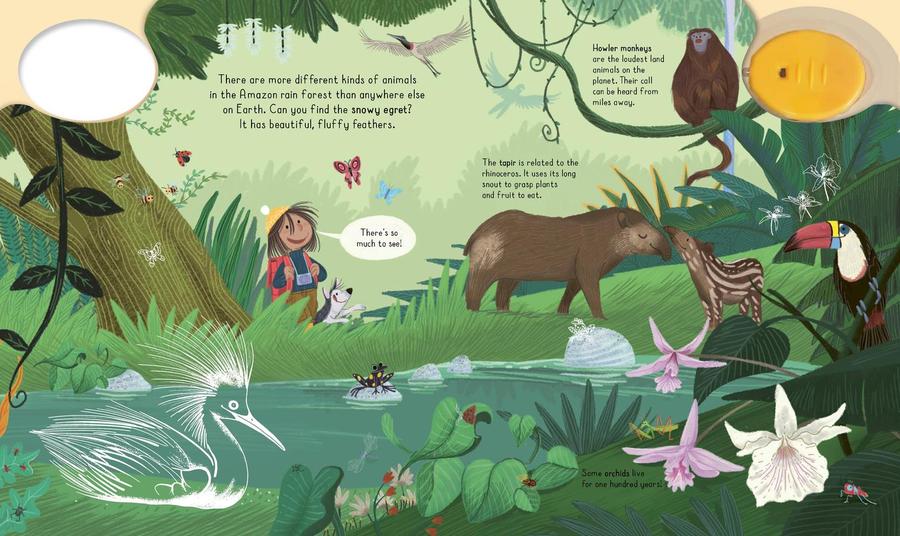 Magic Flashlight: Explore the Rain Forest US - Hardback