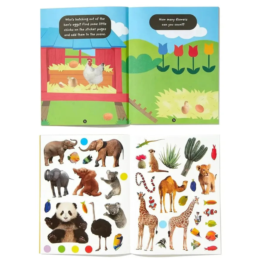 Baby Animals: 4 Activity Book Boxed Set with Stickers