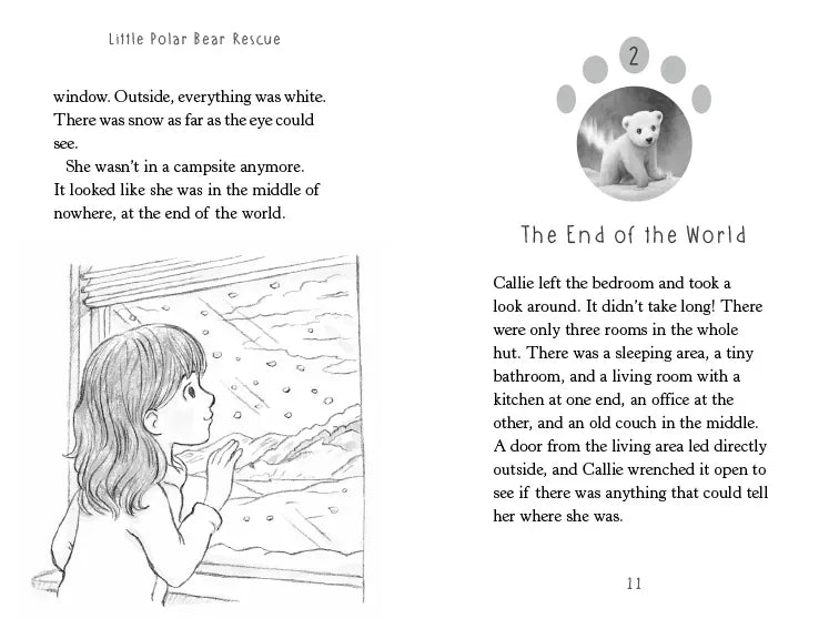 Little Polar Bear Rescue US - Paperback / softback