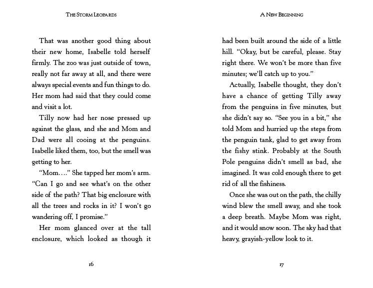 The Storm Leopards US - Paperback / softback
