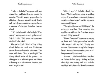 The Storm Leopards US - Paperback / softback
