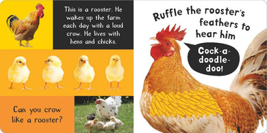 Noisy Farm US - Board book