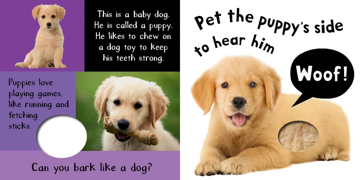 Noisy Baby Animals US - Board book