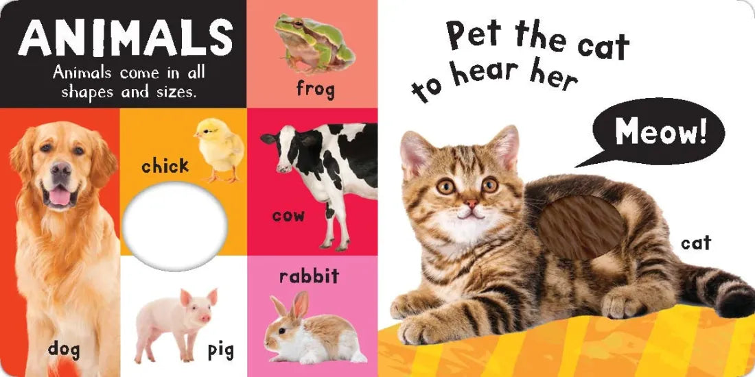 Noisy First Words US - Board book