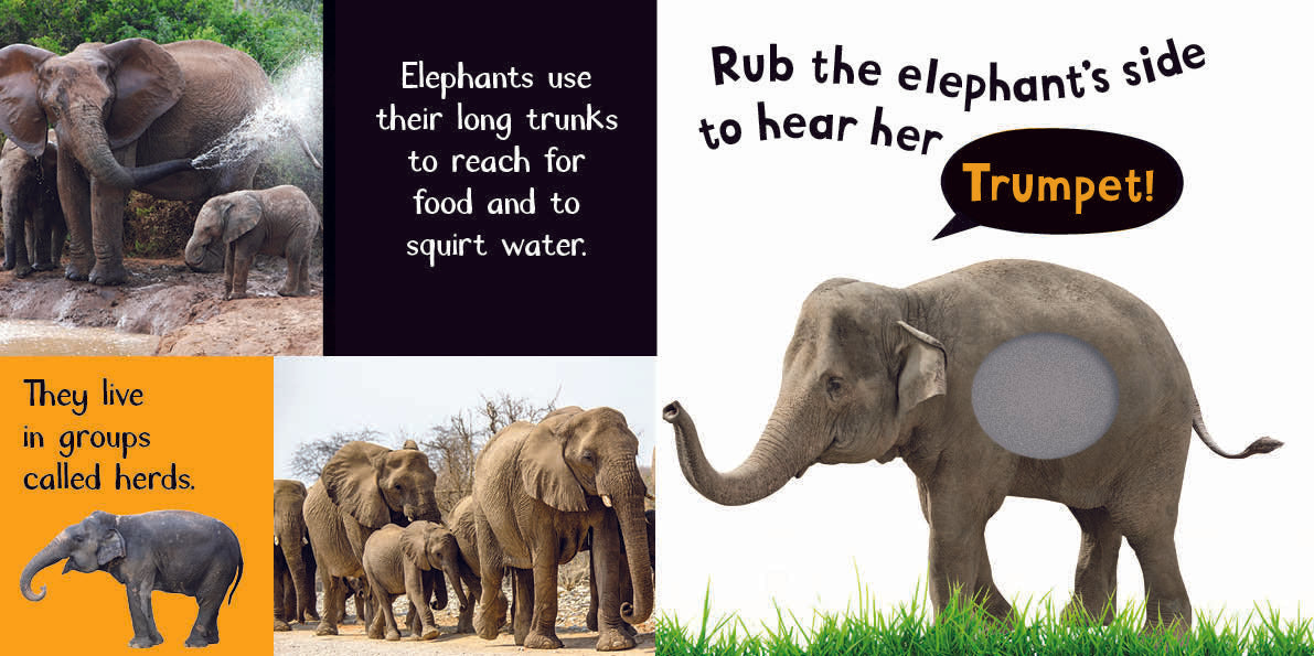 Noisy Animals US - Board book