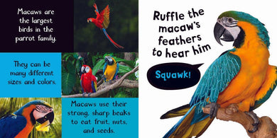 Noisy Animals US - Board book