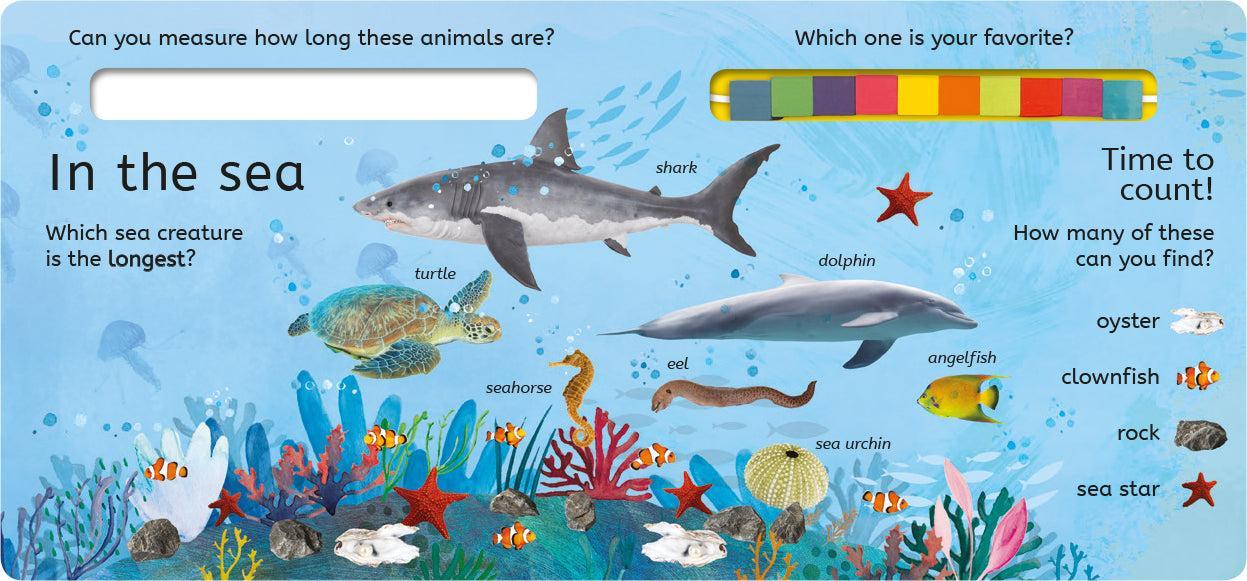 How Many Beads? US - Board book