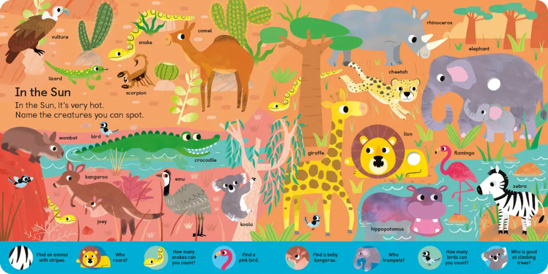 Noisy Animal Search and Find US - Board book