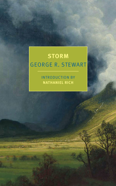 Storm-Fiction: Thriller and horror-買書書 BuyBookBook