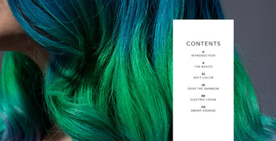Hair to Dye For inside page 1