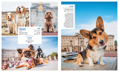 Canines of London inside page 2