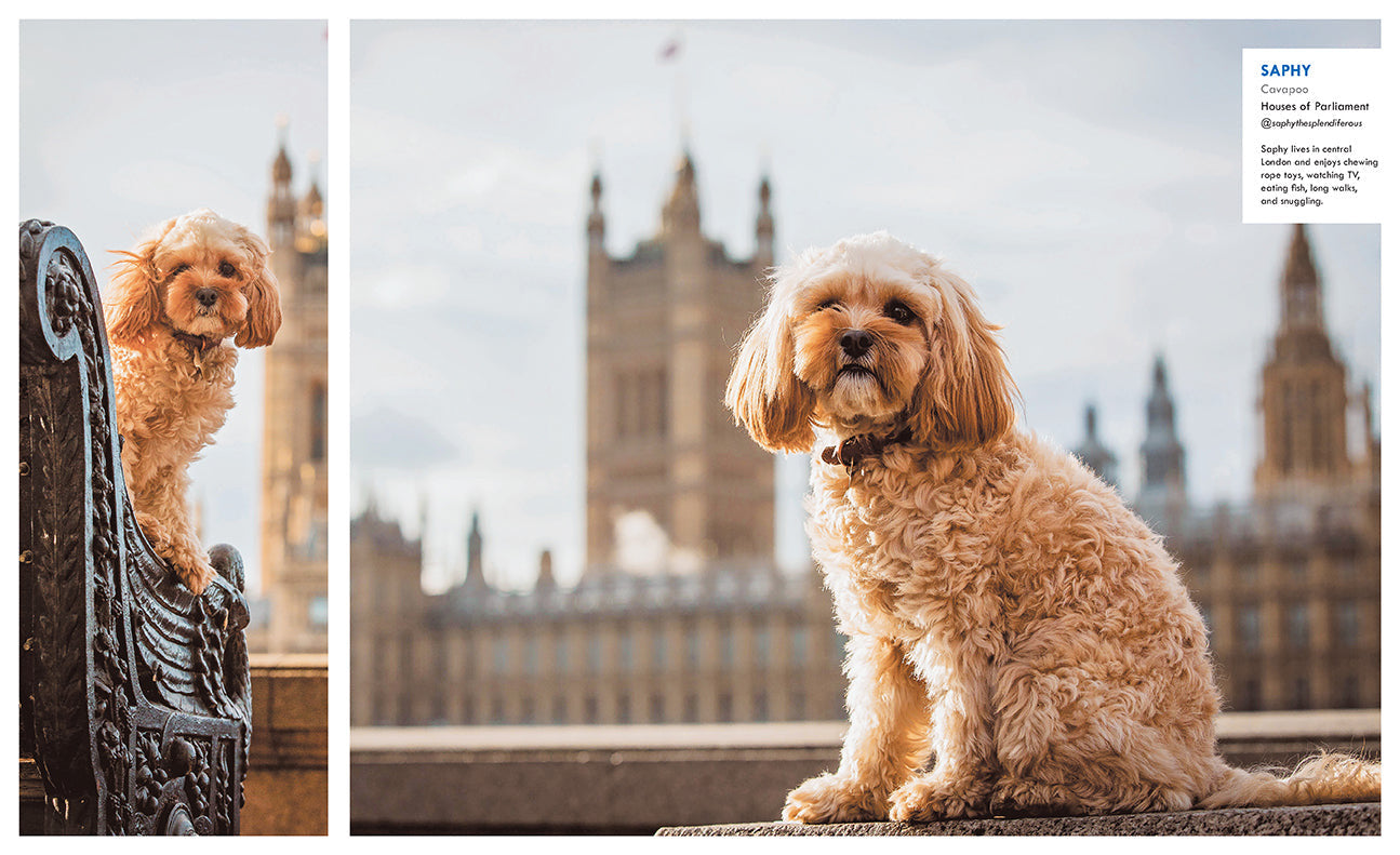 Canines of London inside page 3