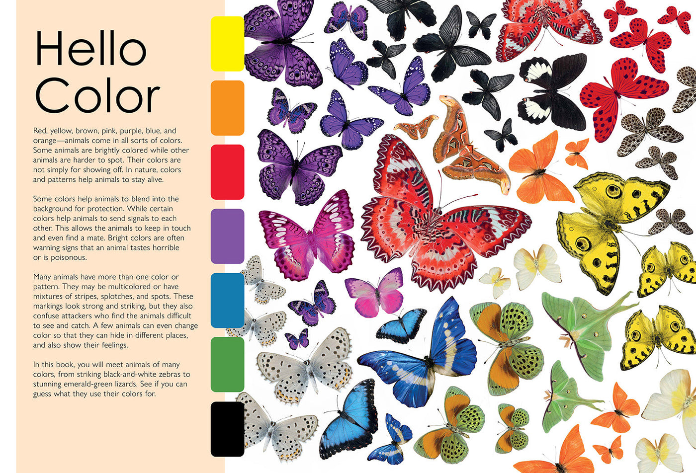 Colorful Creatures inside page 1