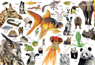 Curious Creatures inside page 4
