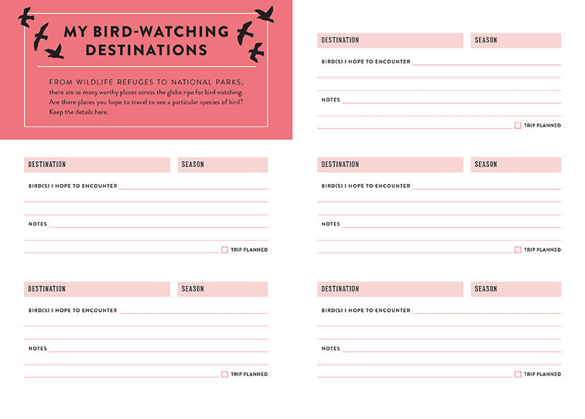 Bird Watcher's Journal inside page 4