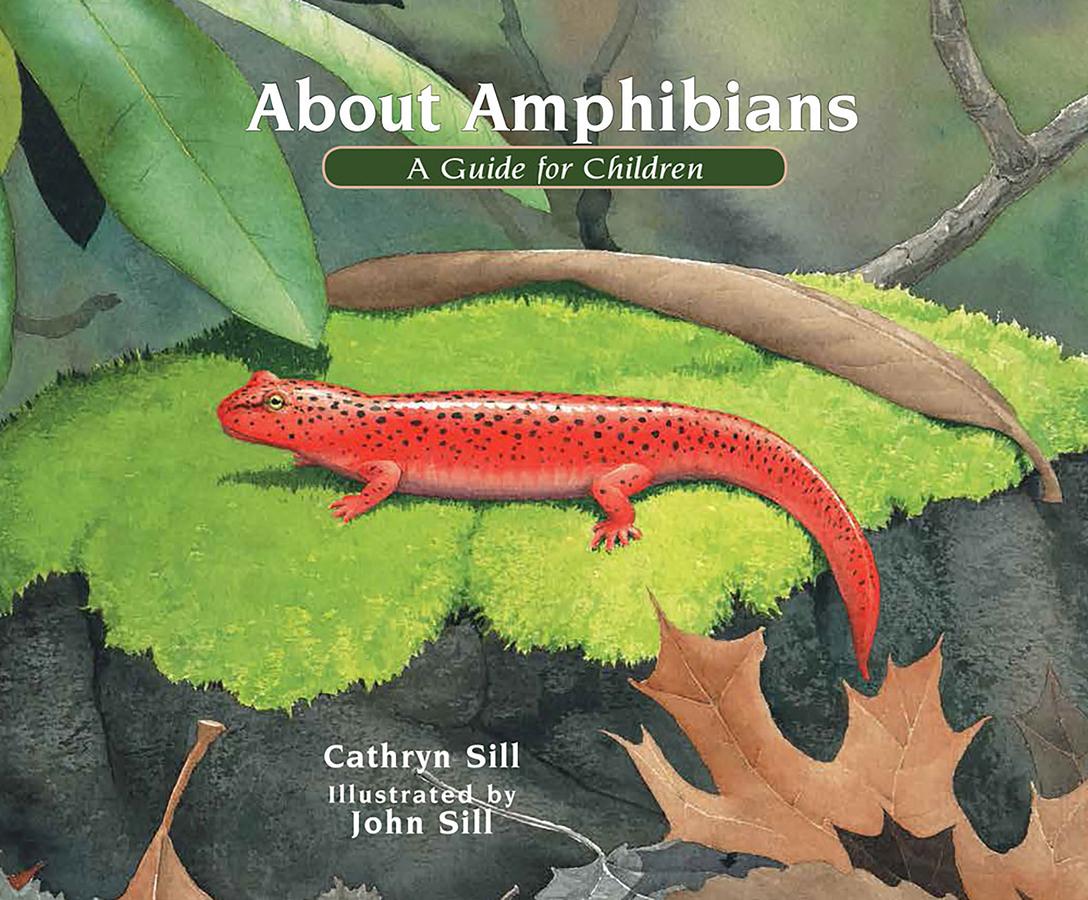 About Amphibians-Children’s / Teenage general interest: Nature and animals-買書書 BuyBookBook