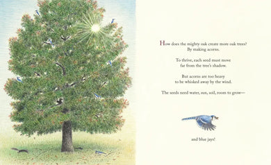 The Blue Jays That Grew a Forest US - Hardback