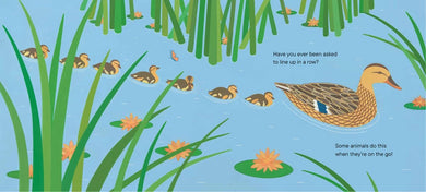 Line Up! US - Paperback / softback