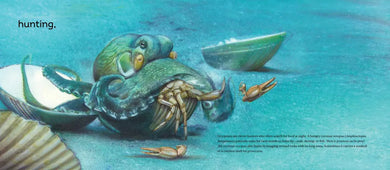 Behold the Octopus! US - Hardback