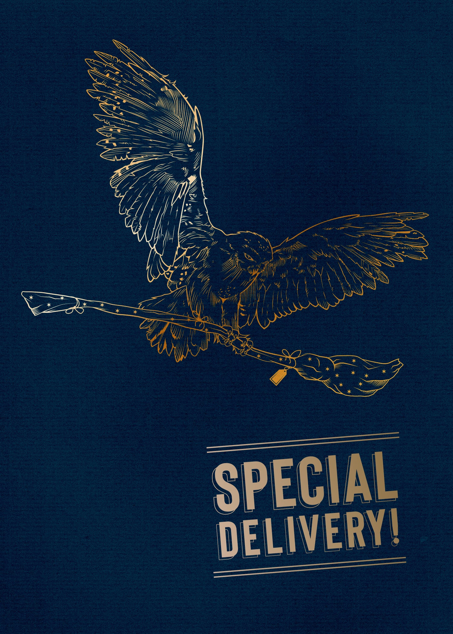 Harry Potter: Hedwig Signature Pop-Up Card