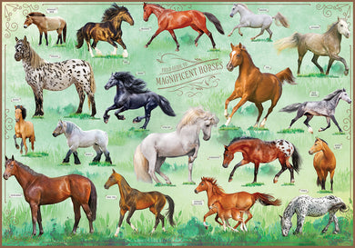 Field Guide to Magnificent Horses inside page 1