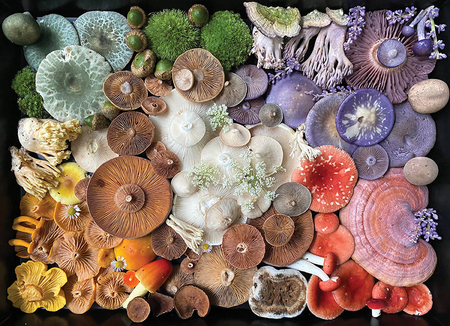 Mushroom Medley Jigsaw Puzzle inside page 1
