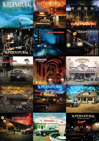 Essential Supernatural Puzzle and Book Set inside page 1