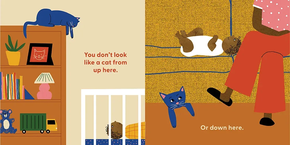 Cat's First Baby US - Board book
