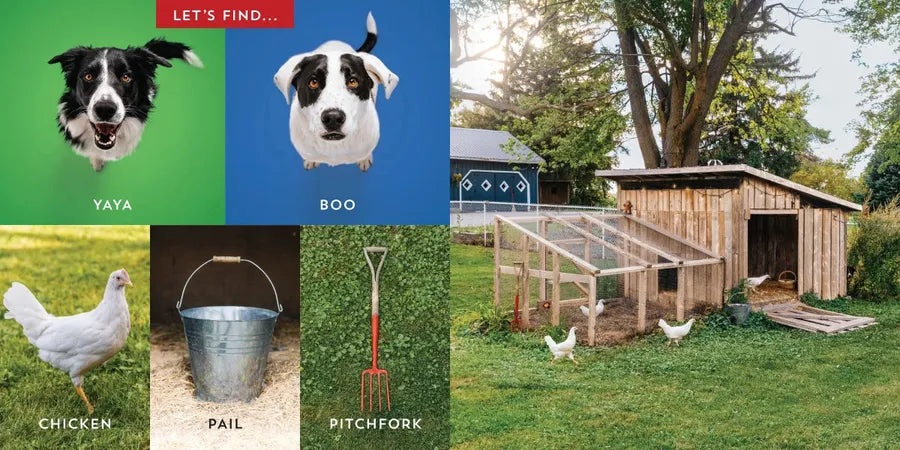 Let's Find Yaya and Boo at Home! US - Board book