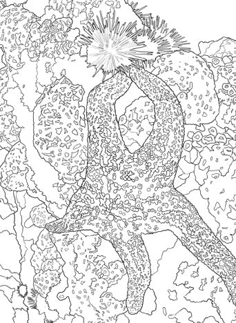 National Parks Postcard Coloring Book inside page 2