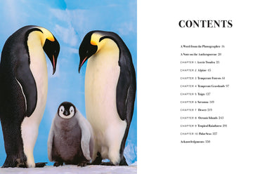 Wild Lives inside page 1