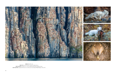 Wild Lives inside page 3