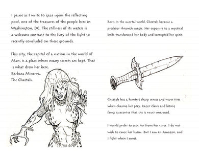 Wonder Woman Ruled Pocket Journal inside page 2