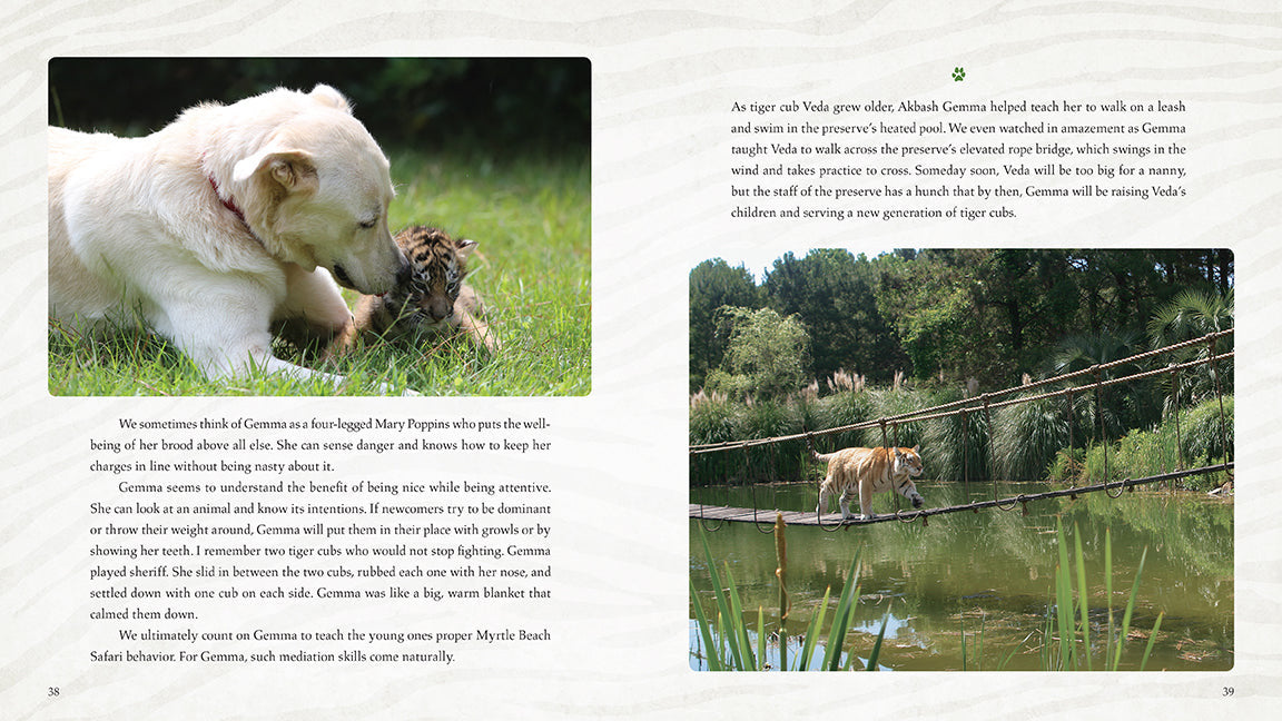 Wild Family inside page 2