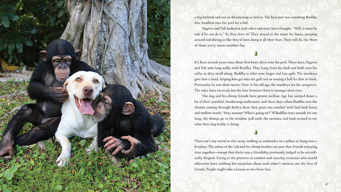Wild Family inside page 4
