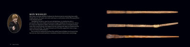 Harry Potter: The Wand Collection inside page 3