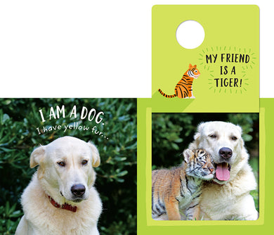 Safari Circle: Animal Pals inside page 2