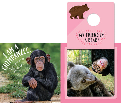 Safari Circle: Animal Pals inside page 3