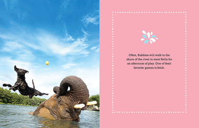 Bubbles inside page 4